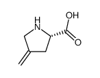 4-methyleneproline Structure