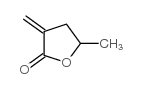 Dihydro-5-methyl-3-methylene-2(3H)-furanone structure