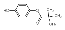 2,2-二甲基丙酸-4-羟基苯酯结构式