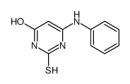 6-anilino-2-sulfanylidene-1H-pyrimidin-4-one Structure
