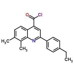 2-(4-Ethylphenyl)-7,8-dimethyl-4-quinolinecarbonyl chloride结构式