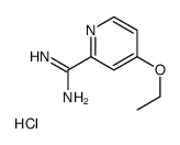 4-ethoxypyridine-2-carboximidamide,hydrochloride Structure
