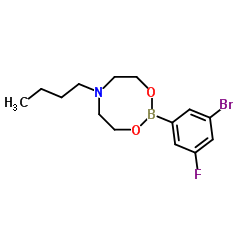 3-Bromo-5-fluorophenylboronic acid N-butyldiethanolamine ester Structure