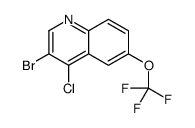 3-Bromo-4-chloro-6-trifluoromethoxyquinoline Structure