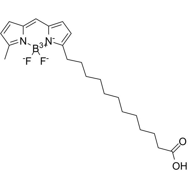 144672-74-2 structure