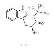 tert-butyl (2S)-2-amino-3-(1H-indol-3-yl)propanoate结构式