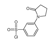 3-(2-OXOPYRROLIDIN-1-YL)BENZENE-1-SULFONYL CHLORIDE Structure