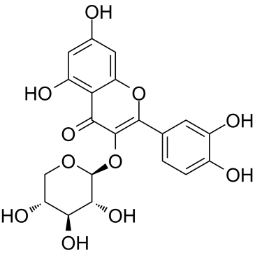 Quercetin 3-O-beta-D-xylopyranoside picture
