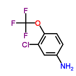 3-Chloro-4-(trifluoromethoxy)aniline picture