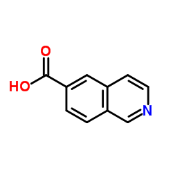 6-异喹啉甲酸结构式
