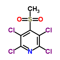 2,3,5,6-四氯-4-(甲磺酰)吡啶结构式