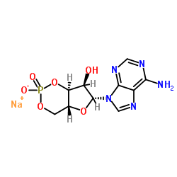 腺苷-3',5'-环磷酸酯钠结构式