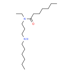 N-Ethyl-N-[3-(hexylamino)propyl]heptanamide结构式