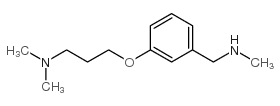 3-[3-(二甲基氨基)丙氧基]-N-甲基苄胺结构式