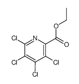 ETHYL 3,4,5,6-TETRACHLOROPYRIDINE-2-CARBOXYLATE Structure