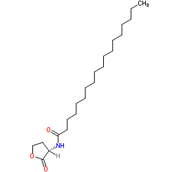 N-[(3S)-2-Oxotetrahydro-3-furanyl]octadecanamide Structure