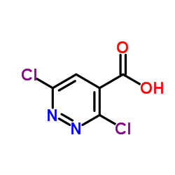 3,6-二氯哒嗪-4-甲酸结构式