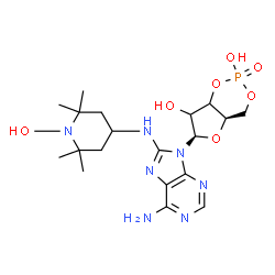 8-TEMPO-氨基腺苷环3',5'-单磷酸盐结构式