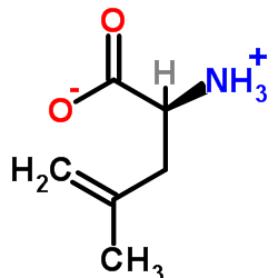 (2S)-2-Ammonio-4-methyl-4-pentenoate Structure