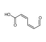(2E,4E)-6-oxohexa-2,4-dienoic acid Structure