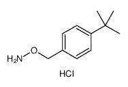 Hydroxylamine, O-[[4-(1,1-dimethylethyl)phenyl]methyl]-, hydrochloride Structure