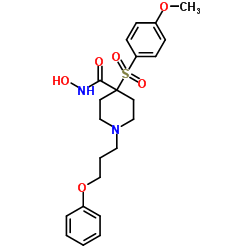 聚异戊二烯,顺式结构式