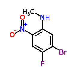 5-Bromo-4-fluoro-N-methyl-2-nitroaniline Structure