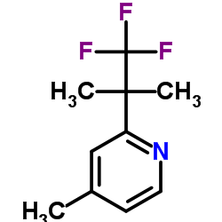 4-甲基-2-(1,1,1-三氟-2-二甲基-2-乙基)吡啶结构式