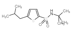 N-(1,1-二甲基乙基)-5-(2-甲基丙基)-2-噻吩磺胺结构式