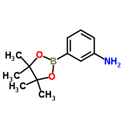 3-aminophenylboronic acid pinacol ester Structure