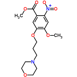 METHYL 4-METHOXY-5-(3-MORPHOLINOPROPOXY)-2-NITROBENZOATE Structure