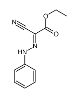 ethyl 2-cyano-2-(phenylhydrazinylidene)acetate Structure