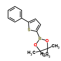 5-Phenylthiophene-2-boronic acid pinacol ester Structure