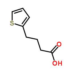 4-(2-噻吩基)丁酸图片