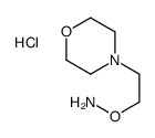 O-(2-morpholin-4-ylethyl)hydroxylamine,hydrochloride Structure