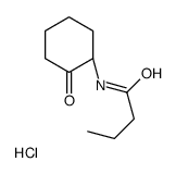 N-[(1S)-2-oxocyclohexyl]butanamide,hydrochloride Structure