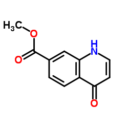 4-氧代-1,4-二氢喹啉-7-羧酸甲酯结构式