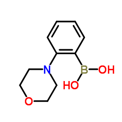 2-吗啉苯硼酸结构式