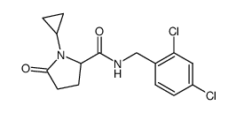 1-Cyclopropyl-N-[(2,4-dichlorophenyl)methyl]-5-oxoprolinamide结构式