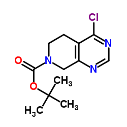 4-氯-5,6-二氢吡咯并[3,2-d]吡啶-7-甲酸叔丁酯结构式