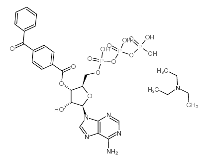 2′(3′)-O-(4-苯甲酰苯甲酰)腺苷5′-三磷酸 三乙铵盐结构式