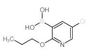 5-氯-2-丙氧基吡啶-3-硼酸结构式