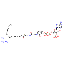 (9Z,12Z-十八碳二烯酰基)辅酶A(铵盐)结构式