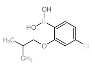 4-氯-2-异丁氧基苯硼酸图片