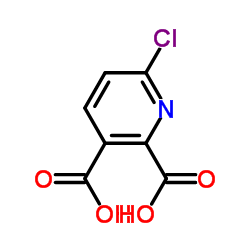 6-Chloro-2,3-pyridinedicarboxylic acid structure