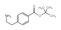 4-(2-氨基乙基)苯甲酸叔丁酯结构式