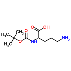 叔丁氧羰基-L-鸟氨酸图片