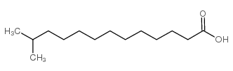 12-Methyltridecanoic acid structure