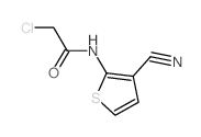 2-氯-N-(3-氰基噻吩-2-基)-乙酰胺结构式