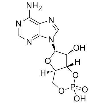 Adenosine cyclophosphate Structure